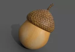 Acorn Low-poly 3D model