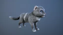 Animated cat Low-poly 3D model