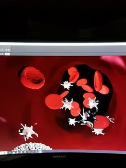 Animation of physiology and biochemical processes in the blood Low-poly 3D model