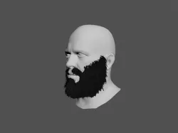 Beard 3D Model  3D model