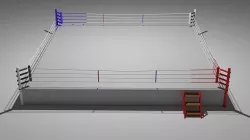 Boxing ring 3D model