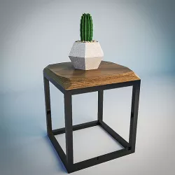 Cactus 3D model