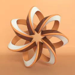 complex torus 3D model