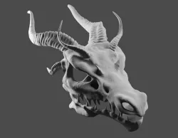Dragons Skull 3D model