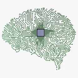 Electronic Circuit Board Brain v 1 3D model