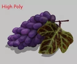 Grape 3D model