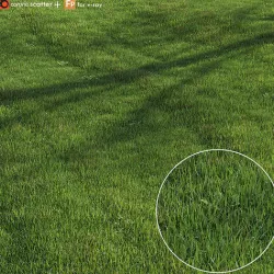 green lawn 3D model
