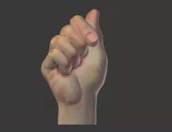 Hand model 3D model