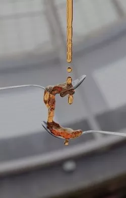 Honey 3D model