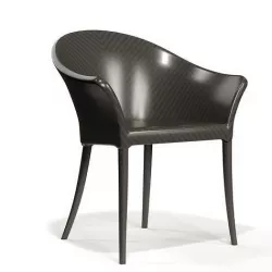 JANUS ET CIE WING ARMCHAIR 3D model