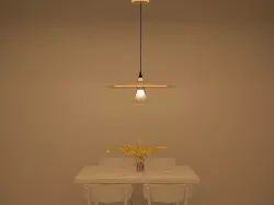 Lighting Pendant 3D model