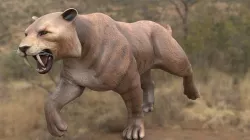 lione 3D model