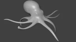 Octupus 3D model