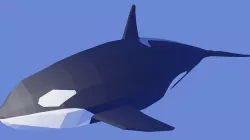 Orcinus Orca or Killer Whale Low Poly Low-poly 3D model