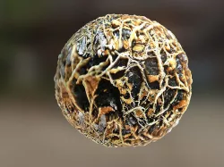PBR Material Texture set 014 Root Roots Nature Ground Low-poly 3D model