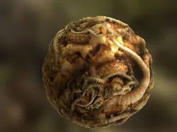 PBR Material Texture set 042 Alien Organic Tentacles Texture