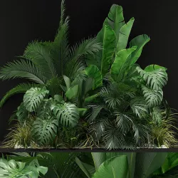 Plants collection 357 3D model