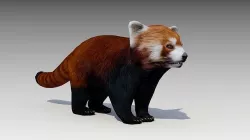 Red Panda Low-poly 3D model