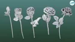 Rose Printable 3D model