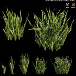 Sansevieria Artificial Snake Plant 03 3D model