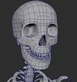 Skeleton 3D model