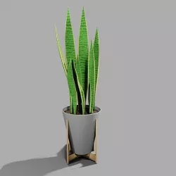 Snake Plant in Pot with Stand 3D model