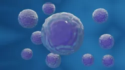 Stem cell 3d model 3D model