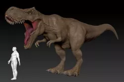 T-rex 3D model