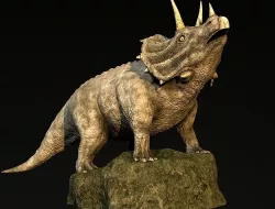 Triceratops 3D model
