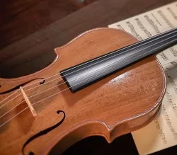  viola 3D model