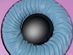 Webcam 3D model