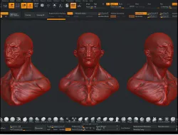 ZBrush Ultrawide User Interface 01 3D model