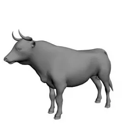 Bull Mesh 3D model