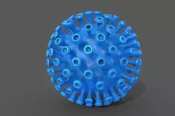 Corona Covid 19 model Low-poly 3D model