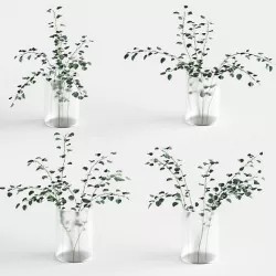 Eucalyptus in a vase - 4 models 3D model