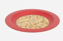 Exemplary Dinner Plate 3D model