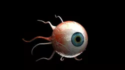 Eye 3D Model 3D model