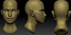 Female Head  Low-poly 3D model