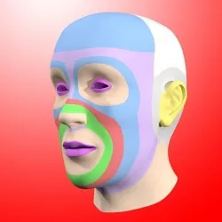 Head Base Mesh 3D model-Cabeza Base 3D model