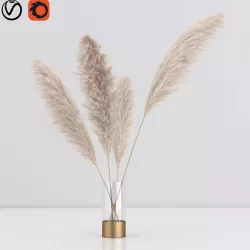 pampas in vase 01 3D model
