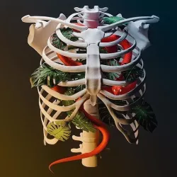 Ribcage holding the serpent 3D model