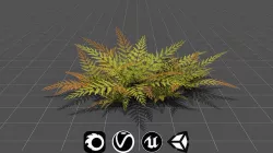 Small Fern - High Quality Low-Poly Models -UE4-Unity-Vray-Corona Low-poly 3D model
