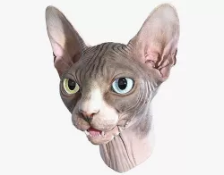 Sphynx Cat Head Low-poly 3D model
