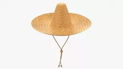 Straw hat sombrero brown 3D model
