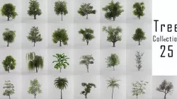 Tree Collection Low-poly 3D model