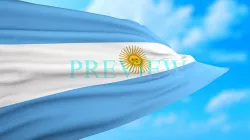 Animated Flag- Transitional Flag  3D model