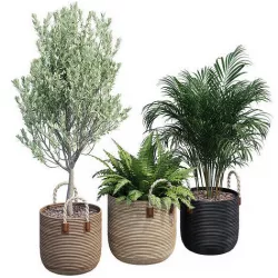Bamboo baskets two 3D model