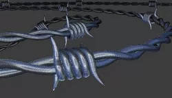 Barbed Wire  3D model