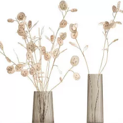 Bouquet of dried flowers  Lunaria in a glass vase 129 3D model