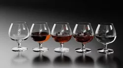 Brandy Snifter 1 3D model